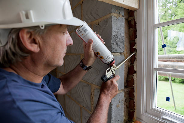 Best Specialized Insulation Services in USA